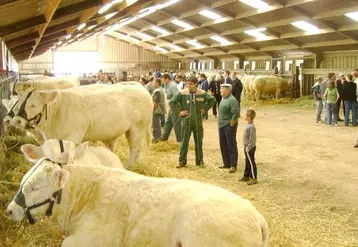 Sur les 14 reproducteurs mâles Charolais vendus, 6 ont rejoint l'Allier, 5 la Creuse et 3 le Puy-de-Dôme.