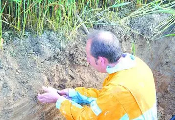 Une fois la fosse creusée, l’observation du profil consiste à effriter chaque couche de haut en bas sans lisser le sol, à l’aide d’un couteau avec une lame de 15 cm environ et arrondie à son extrémité.