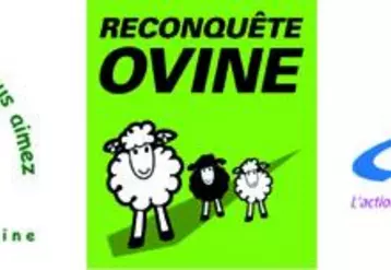 Dans le cadre des orientations techniques de la « reconquête ovine », un groupe de travail national (GDS, fédérations ovines, organisations de producteurs, vétérinaires, organisations de sélection, etc.), animé par GDS France, s’est constitué sur les dossiers sanitaires. En Creuse, la commission ovine de GDS Creuse, déjà opérante selon ce schéma, va renforcer son action au travers d’un groupe technique regroupant les organisations de producteurs, les vétérinaires et GDS ...