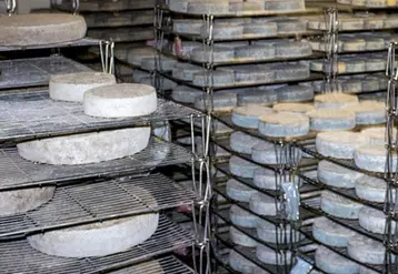La fondation Jacques Chirac a pour mission d'aider à la réinsertion de personnes en situation de handicap. La fromagerie de l'Aire des Sully est une entreprise adaptée reconnue pour la qualité de ses fromages.