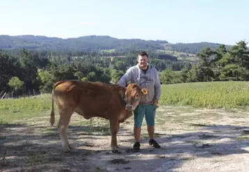 Florian Tichit élève des Limousines au Crouzet, sur la commune de Ribennes.