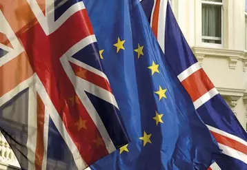 Sans parvenir à un accord le 13 décembre, l’UE et le Royaume-Uni se sont donné une dernière chance de conclure un accord sur leur future relation avant la fin de la période de transition fin 2021, en prolongeant leurs pourparlers. Des progrès ont depuis été observés malgré des divergences encore importantes.
