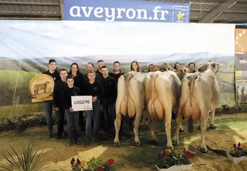  Lors du concours interdépartemental des journées vaches laitières à Baraqueville, les Lozériens ont pu démontrer les qualités de leurs élevages en races brune et montbéliarde.