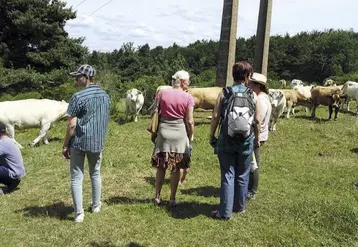 Après la visite de la ferme, les participants étaient invités à aller découvrir le paysage et l’environnement de l’exploitation.