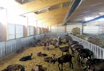 La conception des bâtiments d’élevage intègre des notions zootechniques de logement des animaux, de bien-être animal mais devra aussi prendre en compte la fréquence, l’intensité et la durée des vagues de chaleur.