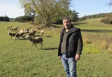 Christian Delon avec ses brebis Lacaunes sur le causse de Sauveterre.