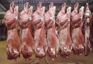 Le texte prévoit un quota annuel de 99 000 tonnes de viande bovine bénéficie d’un taux préférentiel à 7,5 % de taxes.