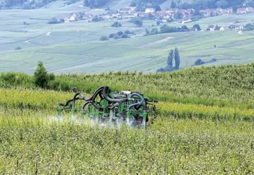 La récente annonce de l'Anses d'interdire la majorité des usages du S-métolachlore a fait resurgir le sujet de la gouvernance des autorisations de mise sur le marché (AMM) des pesticides. La FNSEA veut revenir sur la décision de Stéphane Le Foll de transférer cette compétence à l'Anses. Marc Fesneau plaide pour davantage de « coordination ».