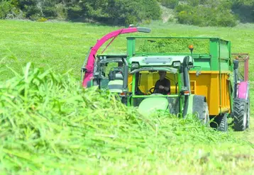L’ensilage est un temps fort d’entraide agricole et il est très souvent réalisé avec du matériel en Cuma.