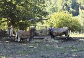 La Commission européenne envisage de consacrer quelque 30 % des fonds de la politique de promotion des produits agricoles en 2021 au secteur biologique. Une part qu’une dizaine d’organisations agricoles européennes jugent bien trop importante alors que le bio ne représente que 8 % du marché.