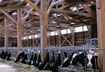 Charpente bois pour un bâtiment vaches laitières.
