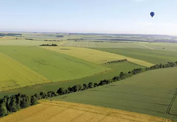 Commandé mi-novembre 2022 par le ministre de l'agriculture Marc Fesneau au CGAAER, le rapport sur l'état des lieux des haies, intitulé « La haie, levier de planification écologique » lui a été remis ce 24 avril.