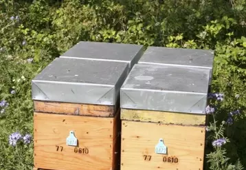 En Lozère, à la date du 31 octobre, 116 déclarations de ruches avaient été effectuées.