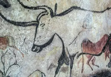 L'Auroch est de retour, y compris en dehors des grandes fresques des grottes. Mais attention, il y a Auroch et Auroch !