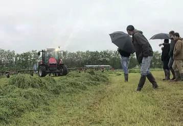 Une bonne gestion de l’herbe permet la réduction des coûts d’alimentation.