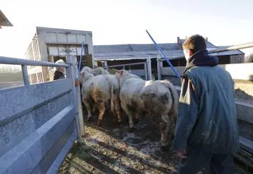 La question du statut de l'agriculteur provoque le débat parce qu'il n'existe pas de définition de l'exploitant agricole dans le droit rural.