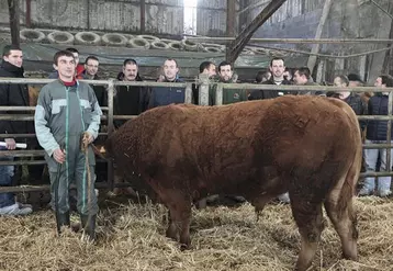 L'après-midi, les participants ont pu visiter l'exploitation d'Emmanuel Roux, à Trélans.