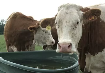 La charte des bonnes pratiques d’élevage recommande une analyse d’eau par an.