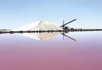 Le principe des marais salants repose sur la cristallisation du sel contenu dans l'eau de mer, sous l'action conjuguée du soleil et du vent. Le sel est ensuite stocké en tas pour former une camelle d'une hauteur de 15 à 20 mètres.