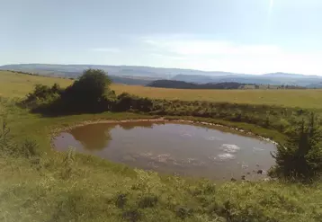 Les lavognes sont des oasis pour la biodiversité et des points d'eau pour toute la faune.