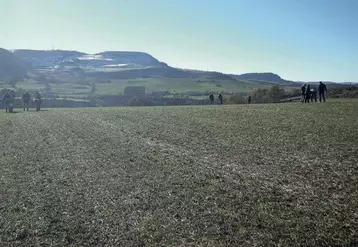 Surveillance des seuils d’infestation des mauvaises herbes sur céréales (exercice de terrain).
