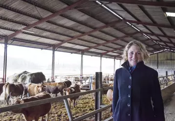 L’activité principale d’élevage de bovins allaitants, de race Limousine, laisse un peu de place à l’engraissement de génisses.