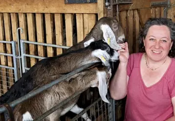 L'association française de la chèvre anglo-nubienne laitière (Afcal) a vu le jour fin février. Son siège est à Brette, en Drôme, mais elle réunit des éleveurs de toute la France. Rencontre avec sa présidente, Céline Brès.