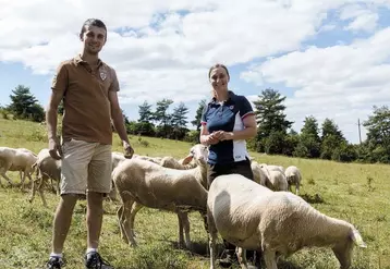 Antoine Guéant et Justine Leroux sont depuis novembre 2019 à la tête d’une exploitation bio en brebis laitières. Ils sont venus du Pas-de-Calais se poser dans les vertes prairies du causse Méjean.