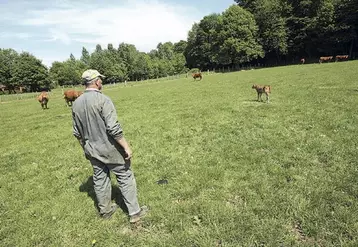 L'ingestion d'herbe jeune et la complémentation minérale sont à surveiller de près pour éviter la tétanie d'herbage.