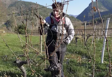 Hélène Goubet Ruchon, 33 ans, est installée en viticulture sur six hectares à Espenel dans le Diois (Drôme). Depuis le mois de juin, elle loue avec trois jeunes vignerons, 13,71 ha en appellation Clairette-de-die au mouvement Terre de liens.