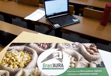 À travers le projet GranAura, lancé par la chambre régionale d'agriculture Auvergne-Rhône-Alpes, une filière régionale de protéines végétales commence à se structurer.