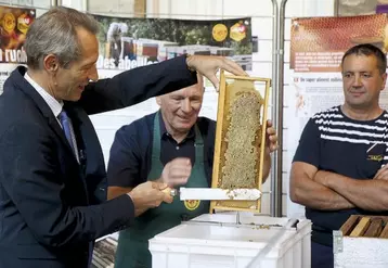 Mercredi 31 août, le syndicat d'apiculture de la Lozère a procédé à une première récolte de la ruche installée ce printemps dans les combles du bâtiment de la mairie, en présence des élus locaux et du préfet de Lozère, Philippe Castanet.