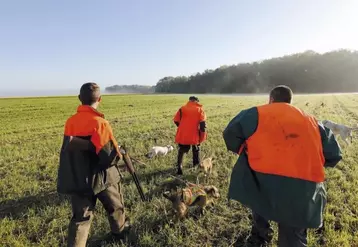La fédération de chasse de Lozère a décidé, depuis plusieurs années déjà, de mettre l'accent sur la sécurité et la formation pour que la chasse se passe le mieux possible.