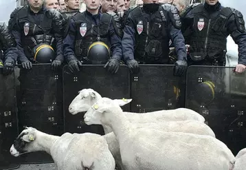 Les manifestations d’agriculteurs donnent parfois de bien étranges rencontres et les photographes ne se privent pas de les immortaliser.