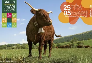 Ovalie, vache Salers de 5 ans, sera l’égérie de la 59e édition du salon de l’agriculture 2023. Ses éleveurs, Marine et Michel Van Simmertier, à peine installés en hors-cadre familial dans le Puy-de-Dôme, sont déjà propulsés en haut de l’affiche.