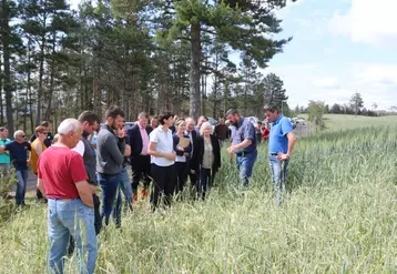 FDSEA et JA, accompagné de la chambre d’agriculture, ont invité le 21 juin dernier, les ont invité les représentants de l’état, du conseil départemental et du conseil régional sur une exploitation agricole pour constater l’ampleur des dégâts