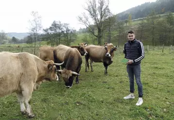 Adrien Combes exhibe fièrement la plaque de vainqueur du concours, auprès de ses vaches Aubrac, dans la prairie des Bastides.