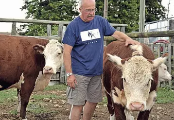 La race Hereford est réputée pour sa grande rusticité et sa docilité.