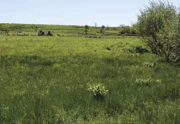 Pour célébrer le travail des agriculteurs et des pâturages, l'Ipamac diffuse une série de vidéos sur les pâturages dans les parcs naturels.