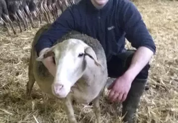 Antoine Pelat a été sélectionné pour le trophée du meilleur pointeur dans la catégorie des ovins.