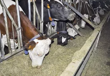 Les signaux sont au vert tant sur les marchés laitiers que sur le marché domestique. Pourtant les éleveurs laitiers déplorent de ne toujours pas voir le prix du lait grimper, alors qu'ils font face à une forte progression de leurs charges. Les industriels tentent de rassurer.
