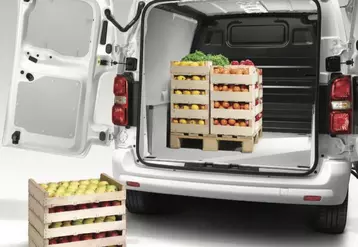 La plupart des modèles ont des caisses modulables et fonctionnelles pour un usage polyvalent, avec un système de retenue des charges, comme le Citroën Berlingo.