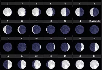Les calendriers lunaires donnent des tendances « mais chaque organisme réagit de manière différente », souligne René Becker.