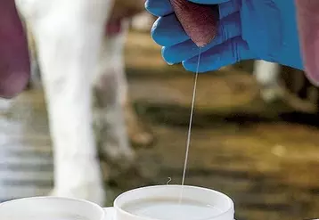 La spectrométrie IR des échantillons individuels analyse la composition fine du lait en acides gras. Des données précieuses pouvant être valorisées par votre conseiller d’élevage.