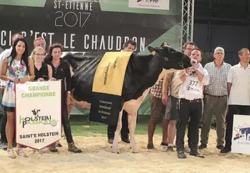 Le point d’orgue du concours national Prim’holstein était vendredi soir avec la désignation de la grande championne du concours. Elle appartient à l’EARL Lepoint, du Nord, qui a également reçu le prix du meilleur éleveur.