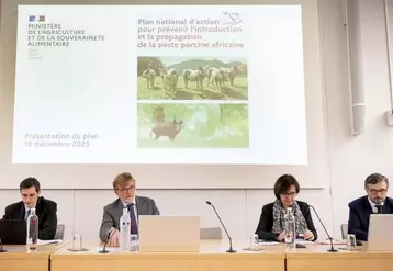 Marc Fesneau a présenté, le 19 décembre, une version mise à jour du plan de prévention contre la peste porcine africaine (PPA), lancé début 2022. Principale nouveauté : des audits de biosécurité obligatoires pour les élevages.