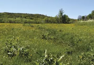 La chambre régionale des comptes de la région Auvergne-Rhône-Alpes a publié le 10 novembre un rapport d'enquête sur l'avenir des parcs naturels régionaux. Le parc naturel régional de l'Aubrac, du fait de sa partie cantalienne, a été concerné par cet audit.