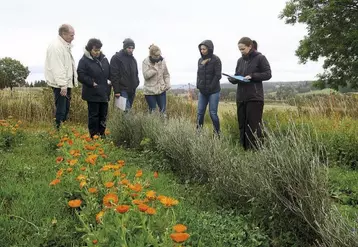  En Margeride, deux agricultrices mènent des essais de culture de plantes médicinales et aromatiques avec l’entreprise Crodarom et souhaitent se diriger vers des expérimentations reconnues au niveau national.
