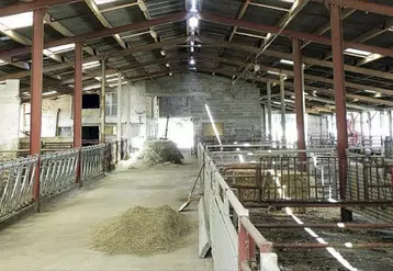 Le bâtiment d’élevage est un domaine de risque sanitaire. La prévention et la correction des problématiques relevées passent par l’investigation de plusieurs secteurs dont la densité, la ventilation, la luminosité ou l’aménagement.