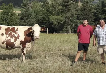 Installés à Donaldès, sur la commune de Saint-Symphorien, Loïc et Éric Bonhomme ammèneront quatre vaches à la Journée montagne.